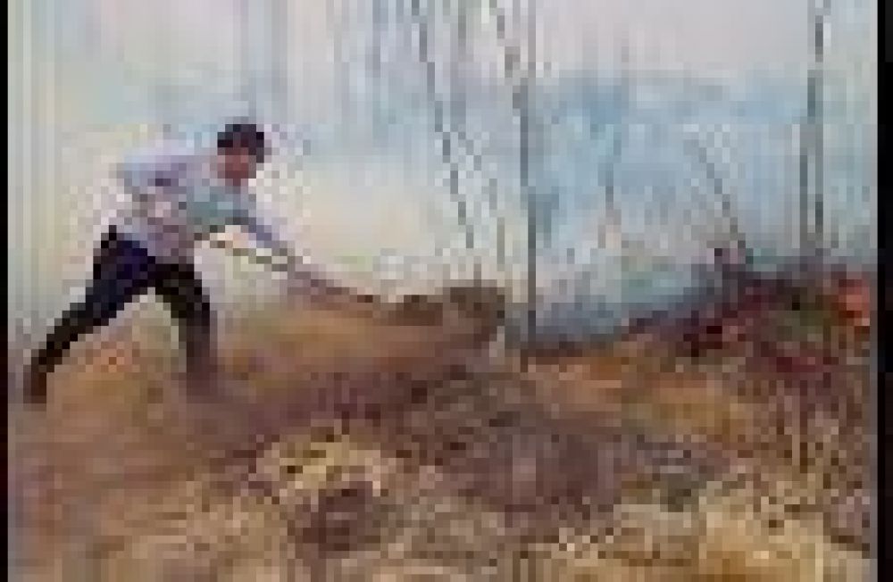 Un concejal de General Alvear se desesper� y combati� un incendio