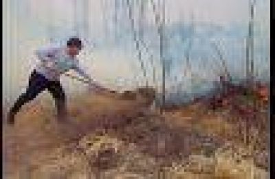 Un concejal de General Alvear se desesper� y combati� un incendio