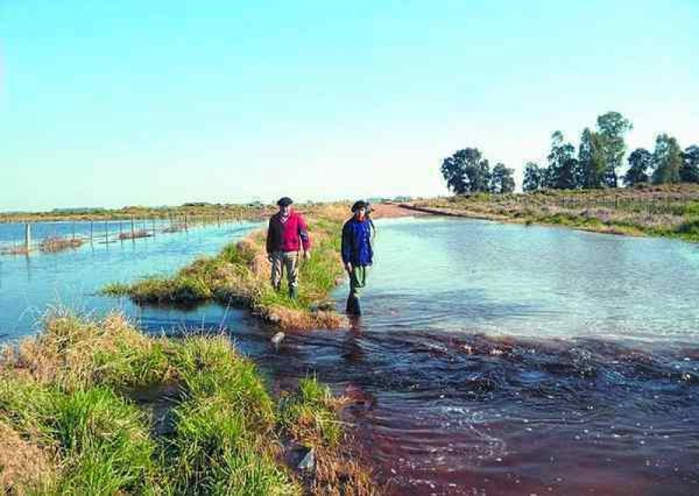 Propuesta de la Rural local podr�a replicarse en otros distritos