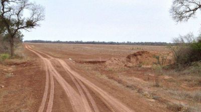 Amigos del poder hacen negocios con el ordenamiento de bosques
