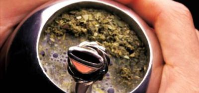 Yerba: La zafra 2014 se proyecta como la mejor de los �ltimos cinco a�os