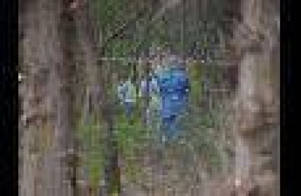 Un hombre muri� tras ser apu�alado a plena luz del d�a en el Parque General San Mart�n