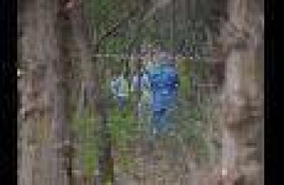 Un hombre muri� tras ser apu�alado a plena luz del d�a en el Parque General San Mart�n