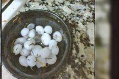 Sorpresa por lluvia y granizo en Loreto y el sur de la capital