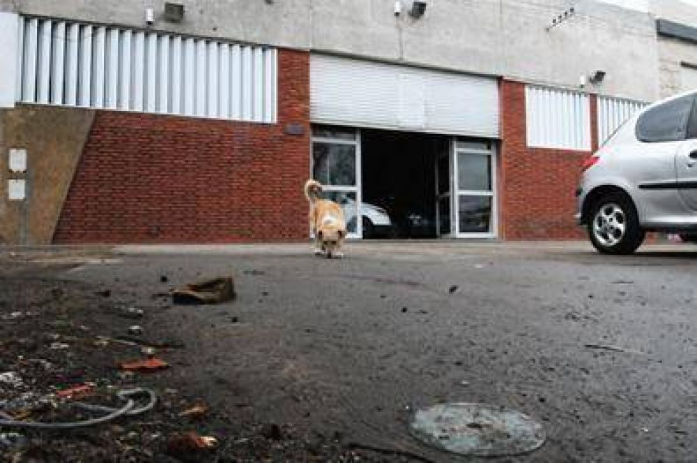 Ocho balazos y una muerte