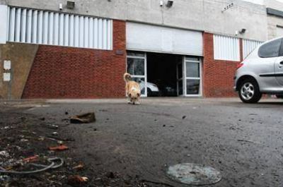 Ocho balazos y una muerte