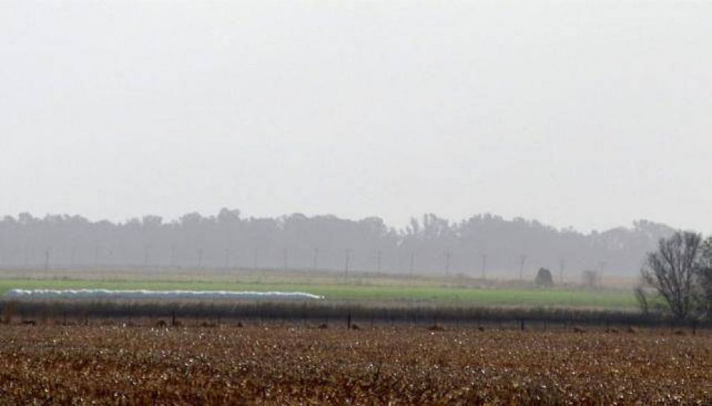 Los campos que �vuelan� complican al sur cordob�s