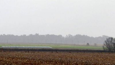 Los campos que �vuelan� complican al sur cordob�s