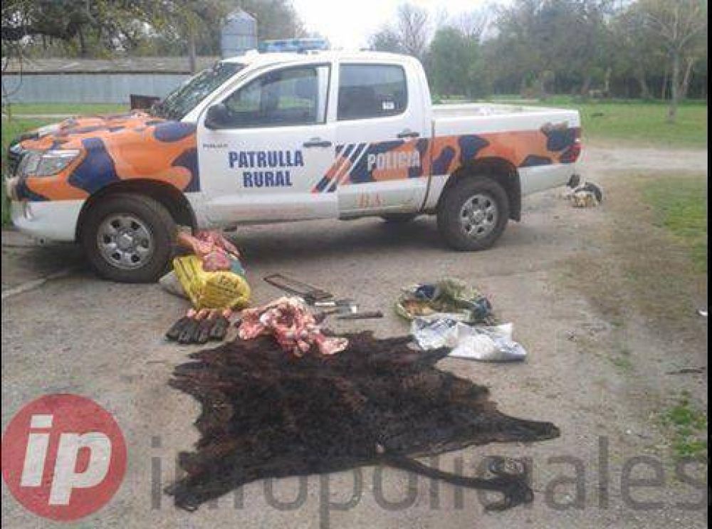 Magdalena: �Cuatreristas� asaltaron un campo y fueron detenidos mientras hacian el asado