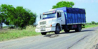 Diputados modificaron normas: Habr� pesajes obligatorios y decomiso de mercader�a ilegal en las rutas
