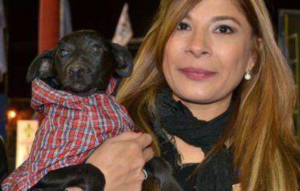 Se aprob� la ley de protecci�n y bienestar animal