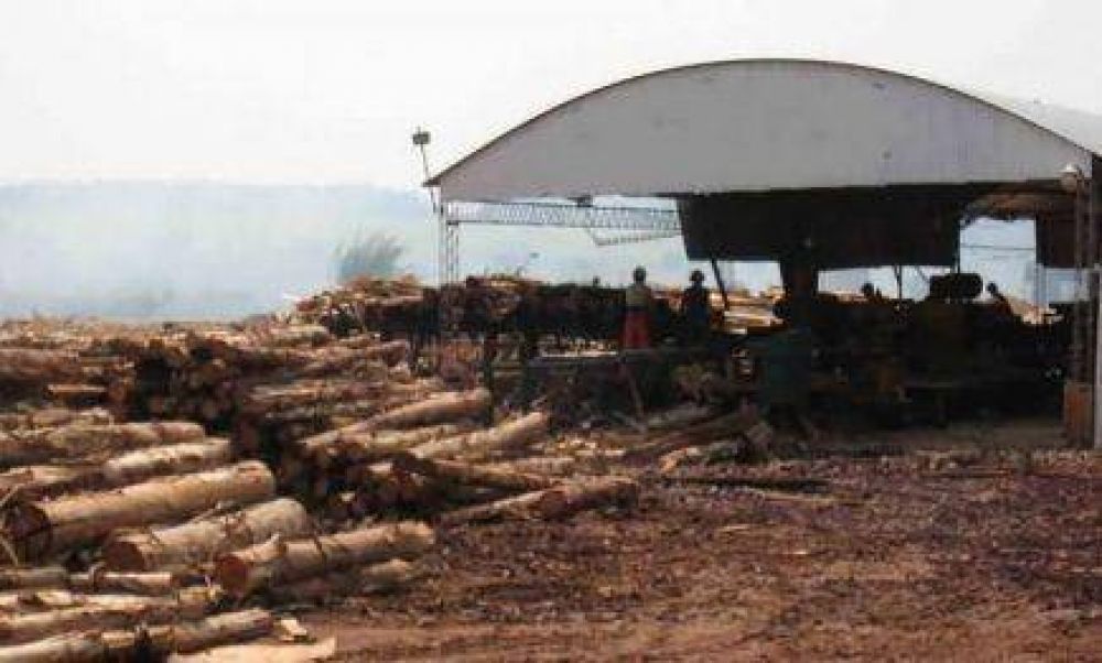 El sector maderero reclama la agilizaci�n de tr�mites