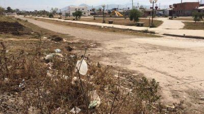 Espacios verdes: un lugar de todos que pocos cuidan