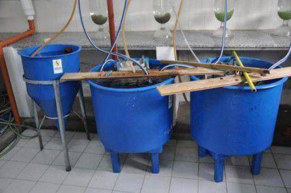 Casi un mill�n de ovas y alevinos recibi� la Estaci�n Hidrobiol�gica