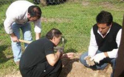 San Pedro: Hallan restos de un tibur�n prehist�rico