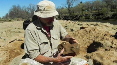Jugando, encuentran fauna prehist�rica