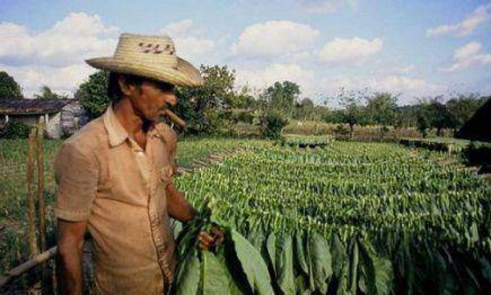 Los pagos del fondo de Granizo demorar�n al menos diez d�as