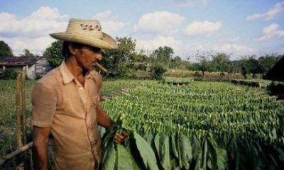 Los pagos del fondo de Granizo demorar�n al menos diez d�as