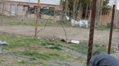 Desalojan dos lotes usurpados en el barrio Pr�spero Palazzo
