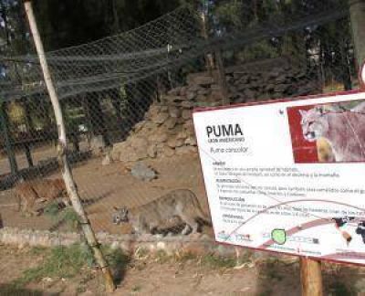 Ambiente analiza ayudar con dinero al Faun�stico