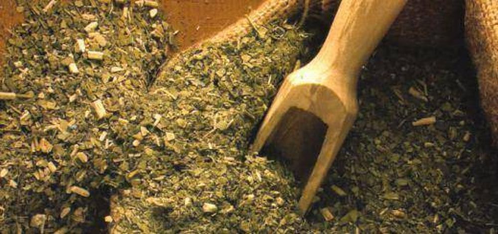 Envasado en Origen para la yerba tuvo dictamen en Diputados