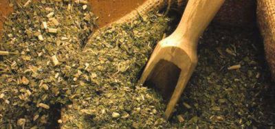 Envasado en Origen para la yerba tuvo dictamen en Diputados