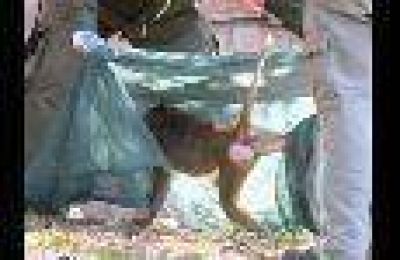 Encontraron a la mona que estaba perdida en el Parque