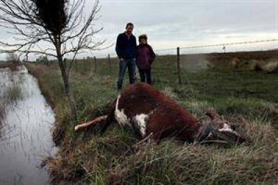 Scioli admiti� que las inundaciones afectan a la mitad de la provincia