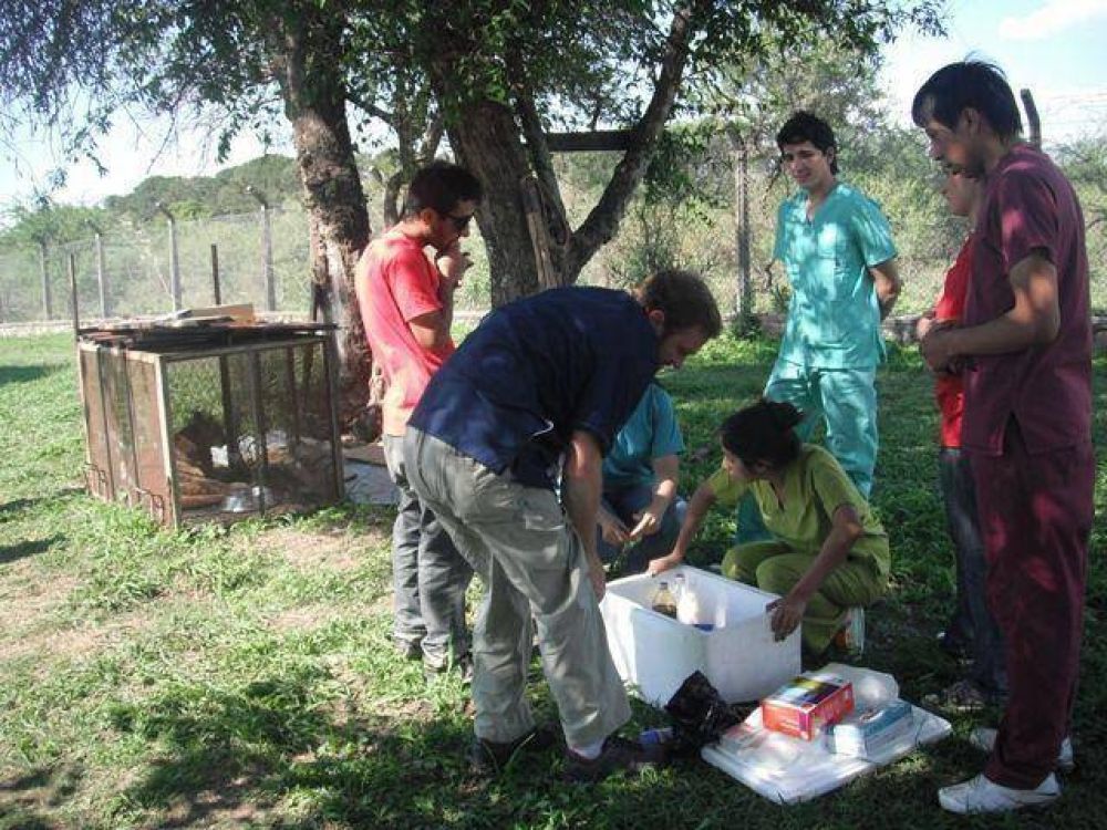 Estudiantes de veterinaria iniciaron las pr�cticas profesionales en la EFA