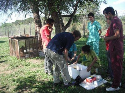 Estudiantes de veterinaria iniciaron las pr�cticas profesionales en la EFA