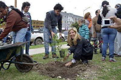 Autoridades municipales y vecinos plantaron �rboles frutales en plaza del barrio Mil viviendas