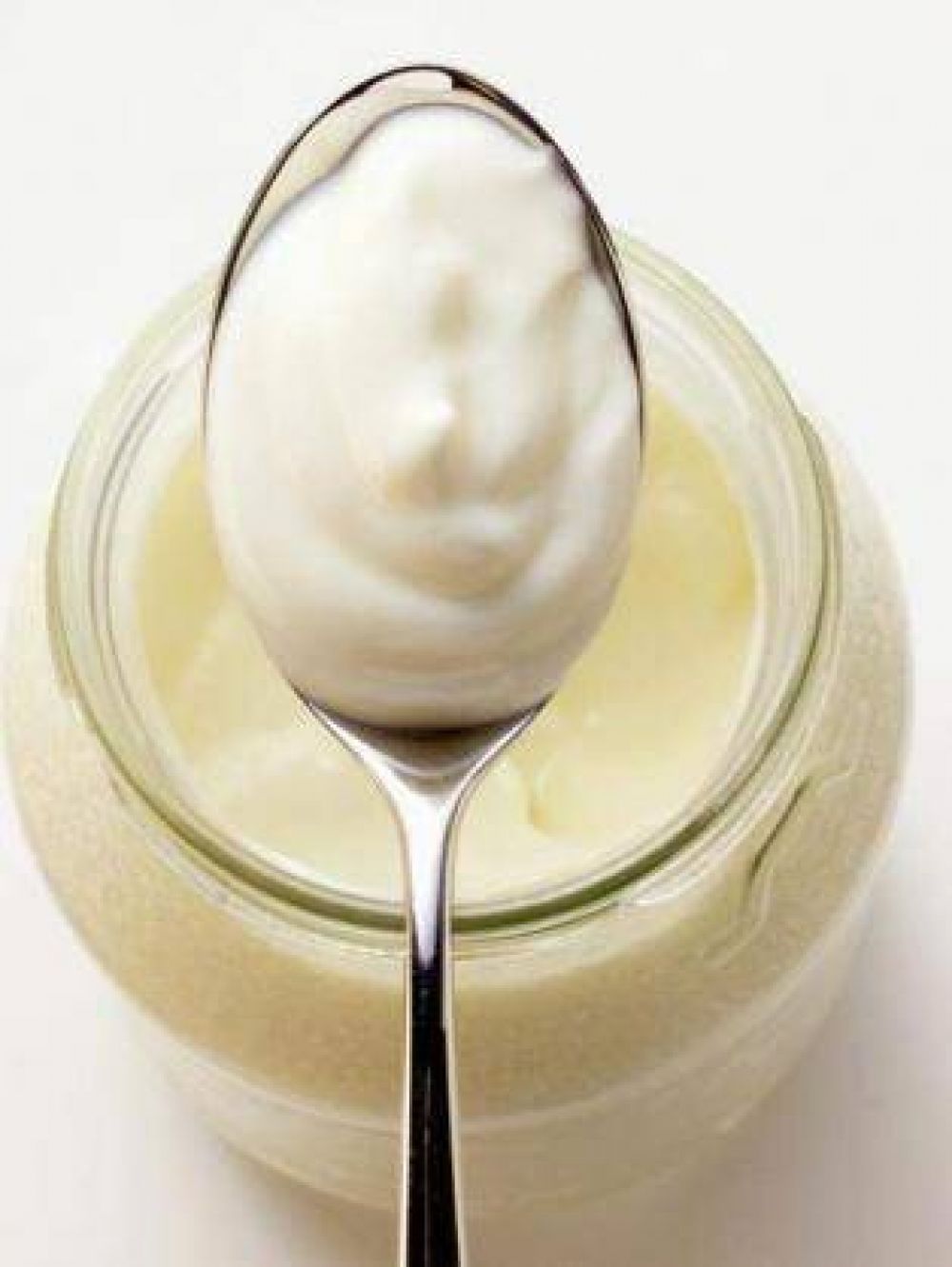 Lanzan un yogur probi�tico tucumano