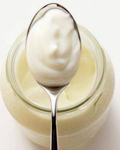 Lanzan un yogur probi�tico tucumano