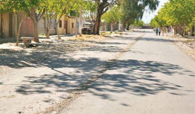 El pavimento sin terminar y los �rboles mal talados en la plaza