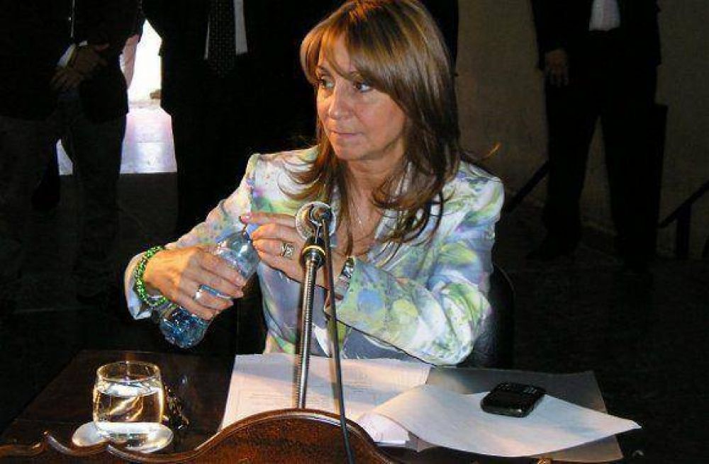 Guglielmi confirm� que el Concejo deber� pronunciarse