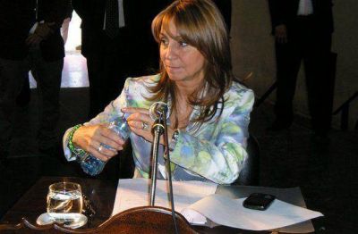 Guglielmi confirm� que el Concejo deber� pronunciarse