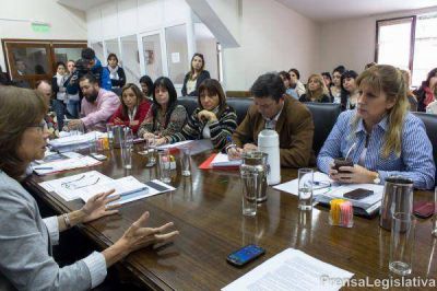 Violencia de G�nero: Debaten adhesi�n a ley nacional de protecci�n integral de mujeres