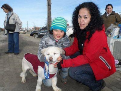 La campa�a de adopci�n fue un rotundo �xito