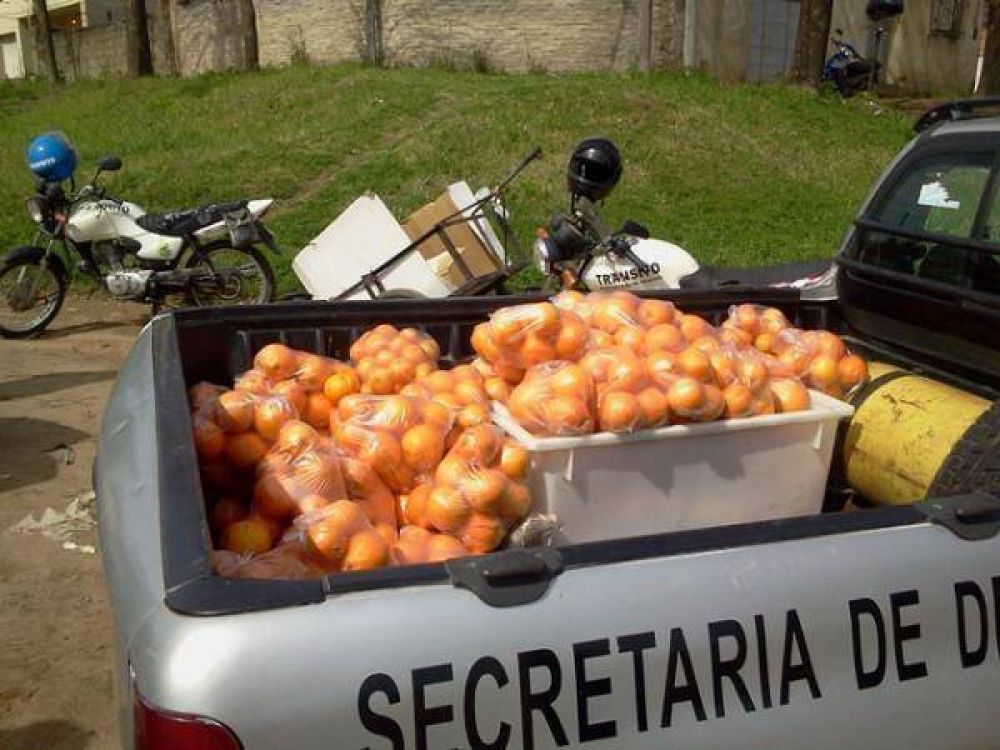 Operacin Naranja: Secuestran casi 200 kilos de frutas a vendedores ambulantes