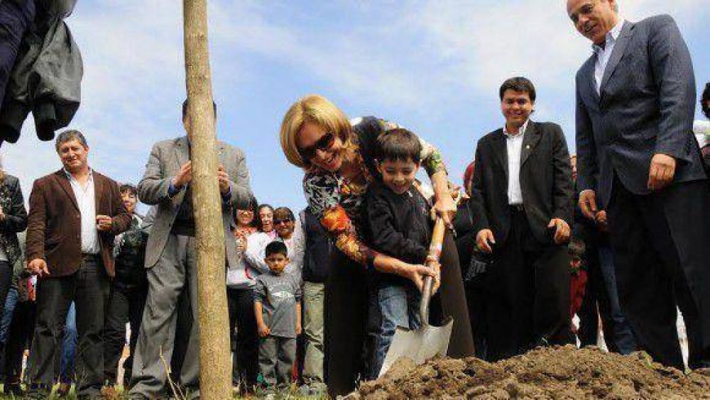 Plantaron 1.500 �rboles en Lomas de Taf�