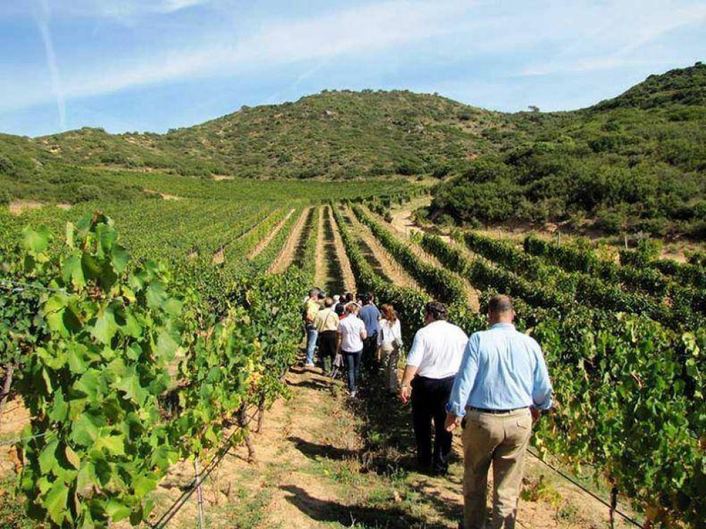 M�s de 300 mil turistas visitaron bodegas locales