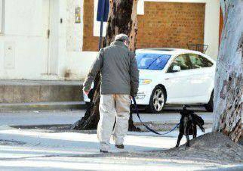 Entregar�n 10 mil kits para levantar la caca de los perros 