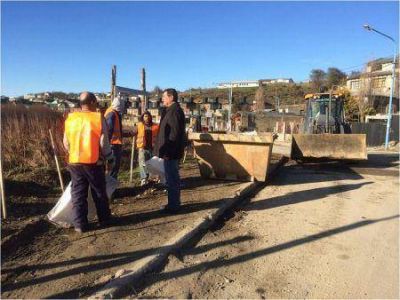 Intensa jornada de limpieza en el turbal de Monte Gallinero