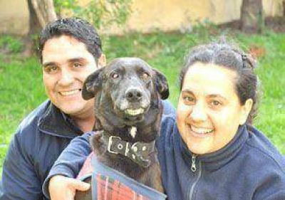 El perro torturado fue adoptado por una mujer polic�a
