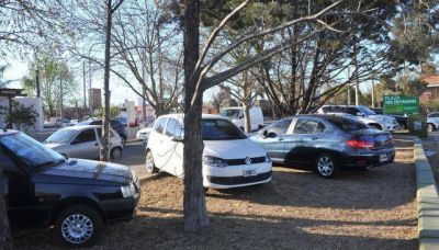 Estacionar en espacios verdes, una costumbre que no cesa