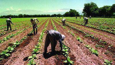 En Salta, uno de cada dos trabajadores percibe un sueldo por debajo del salario m�nimo
