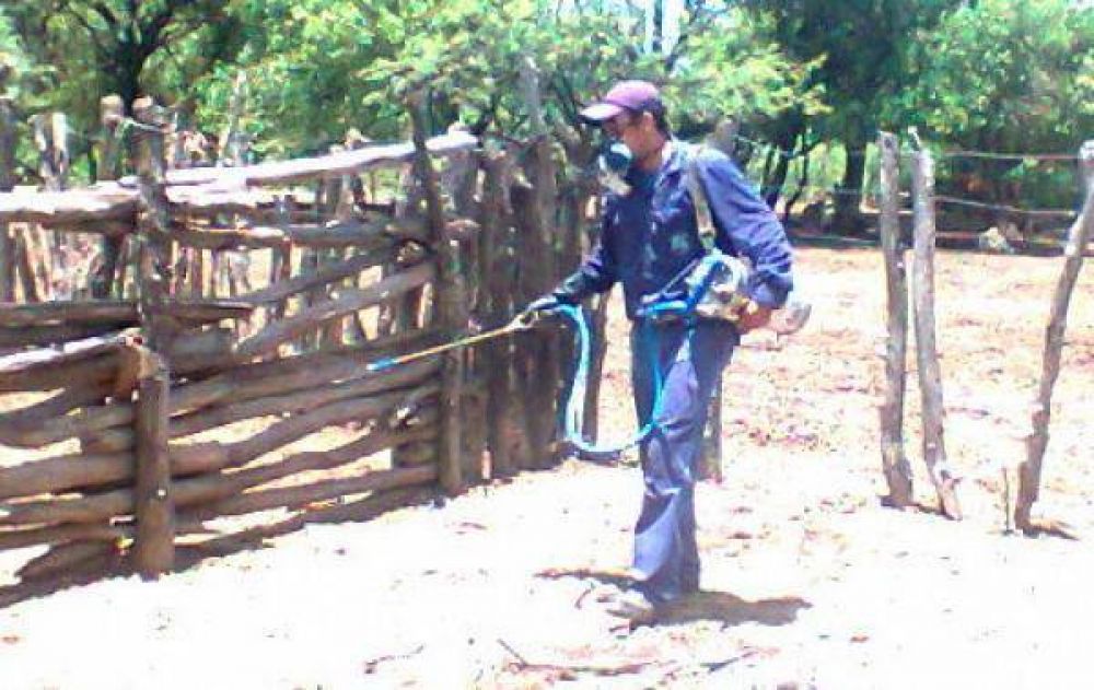 CHAGAS: FUERTES TRABAJOS PREVENTIVOS EN LOS DEPARTAMENTOS PATI�O Y BERMEJO