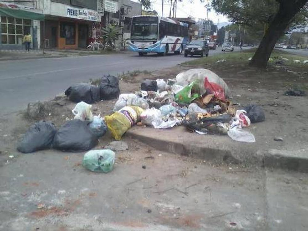 Insisten con mayor educaci�n ambiental para evitar basurales