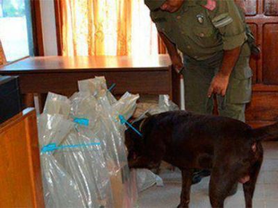 Cay� banda vinculada al narcotr�fico que operaba en Entre R�os, Misiones y C�rdoba