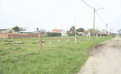 Procrear: fueron a construir y encontraron el terreno usurpado